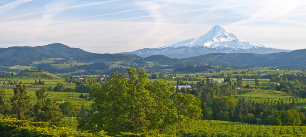 Mt. Hood and Hood River valley panorama in Spring Oregon.