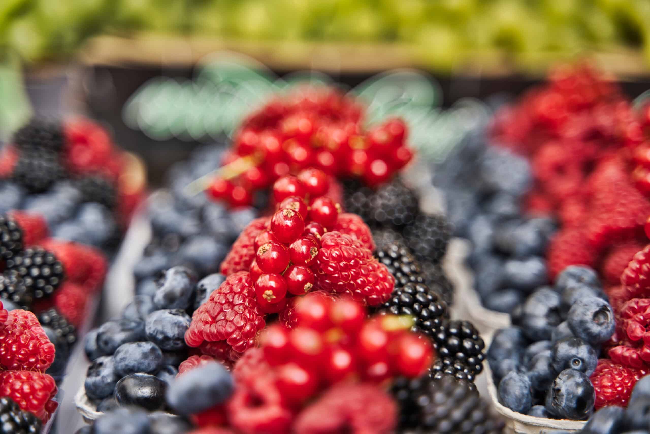 Mixed Pacific Northwest berries including raspberries, blackberries, blueberries, and red currants displayed in white containers at peak ripeness
