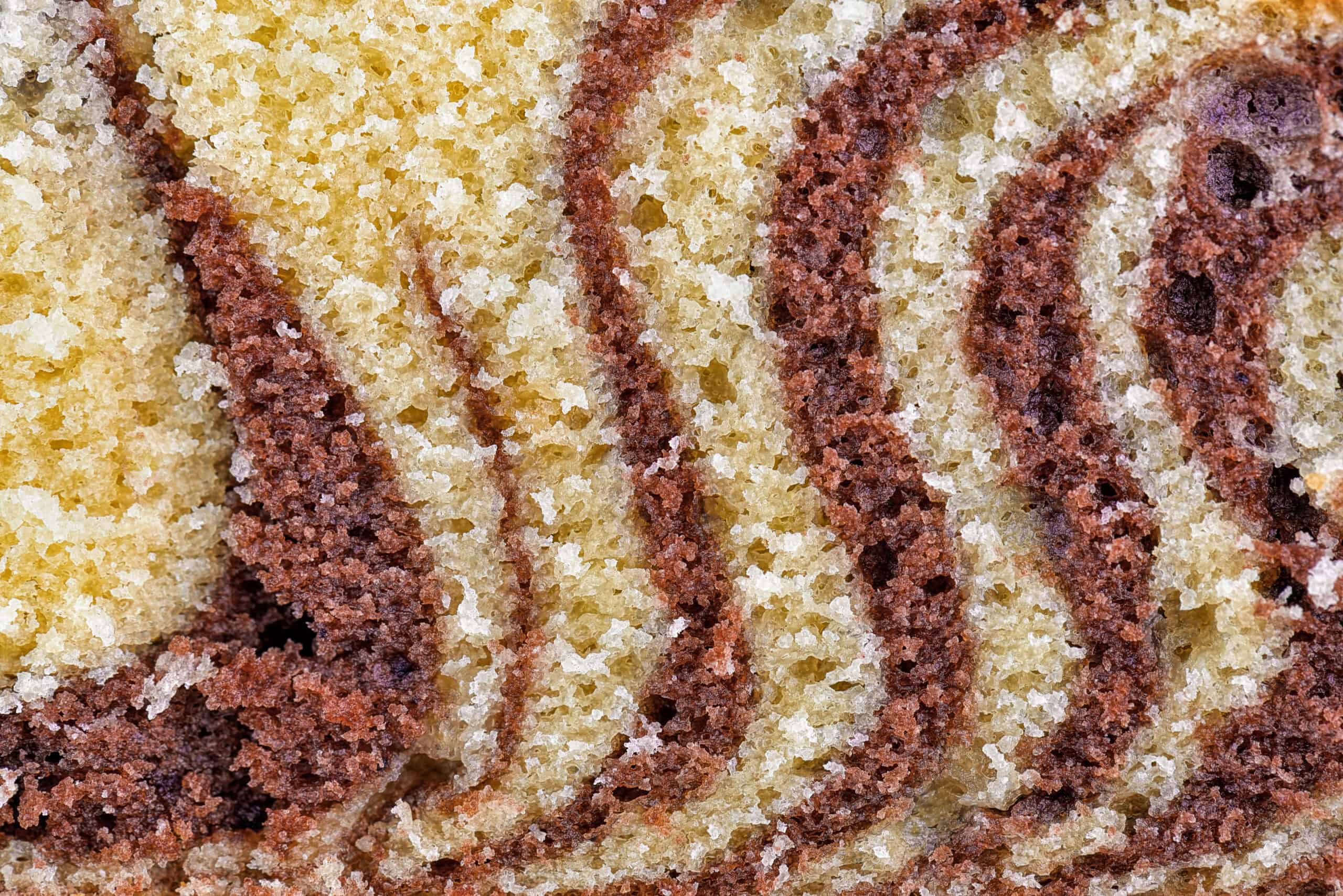 Marbled cake with alternating brown and vanilla striped layers demonstrating 2026 bakery trends in visual texture innovation