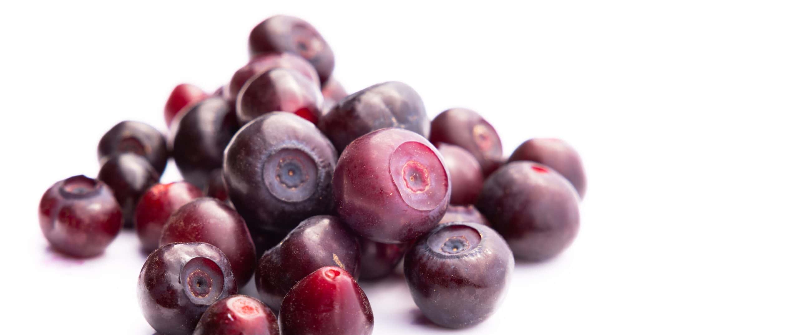 Pile of fresh deep purple huckleberries on a white background showcasing a trending fruit in bakery valued for bold flavor, natural color, and anthocyanin content