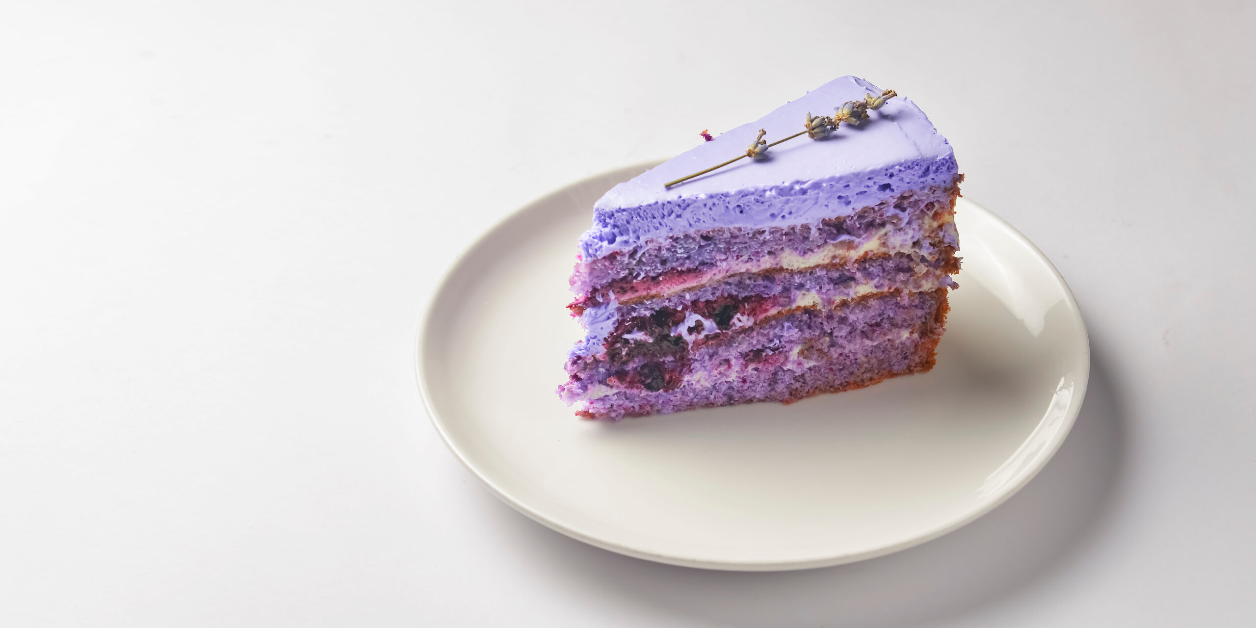 Cut lavander cake on a white plate. A piece of purple violet cake with lavander and berries served on a white plate over white background. Delicious sweet dessert for tea time.