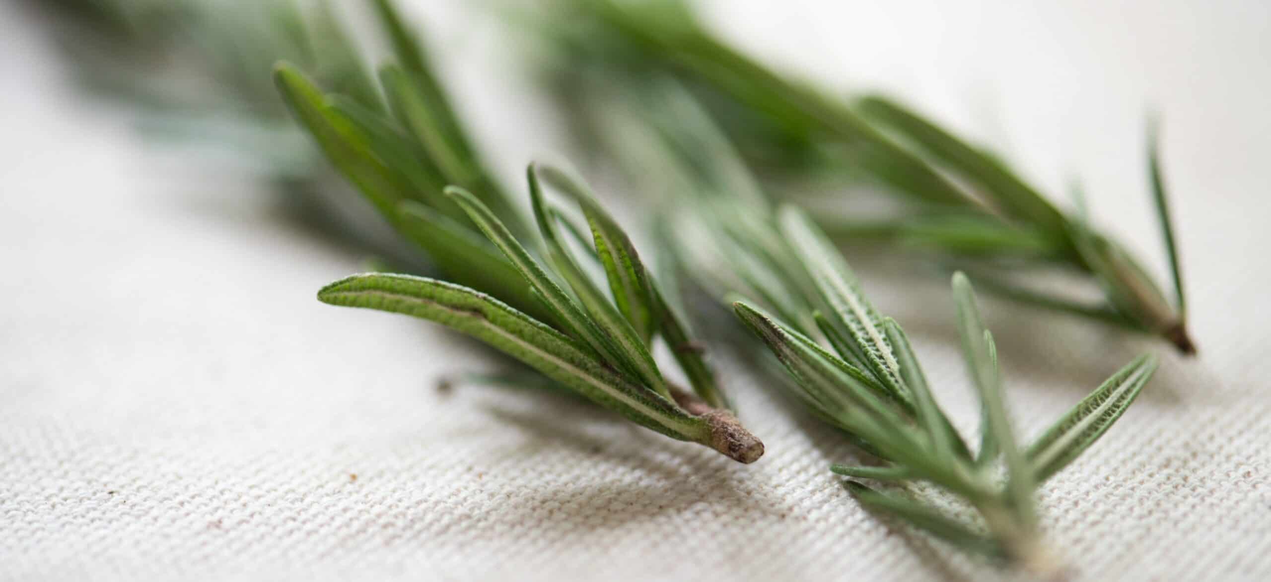 Macro close-up of fresh rosemary sprigs on cream linen, the kind of fragile volatile aromatic compound that loses potency under high-heat ice cream processing.