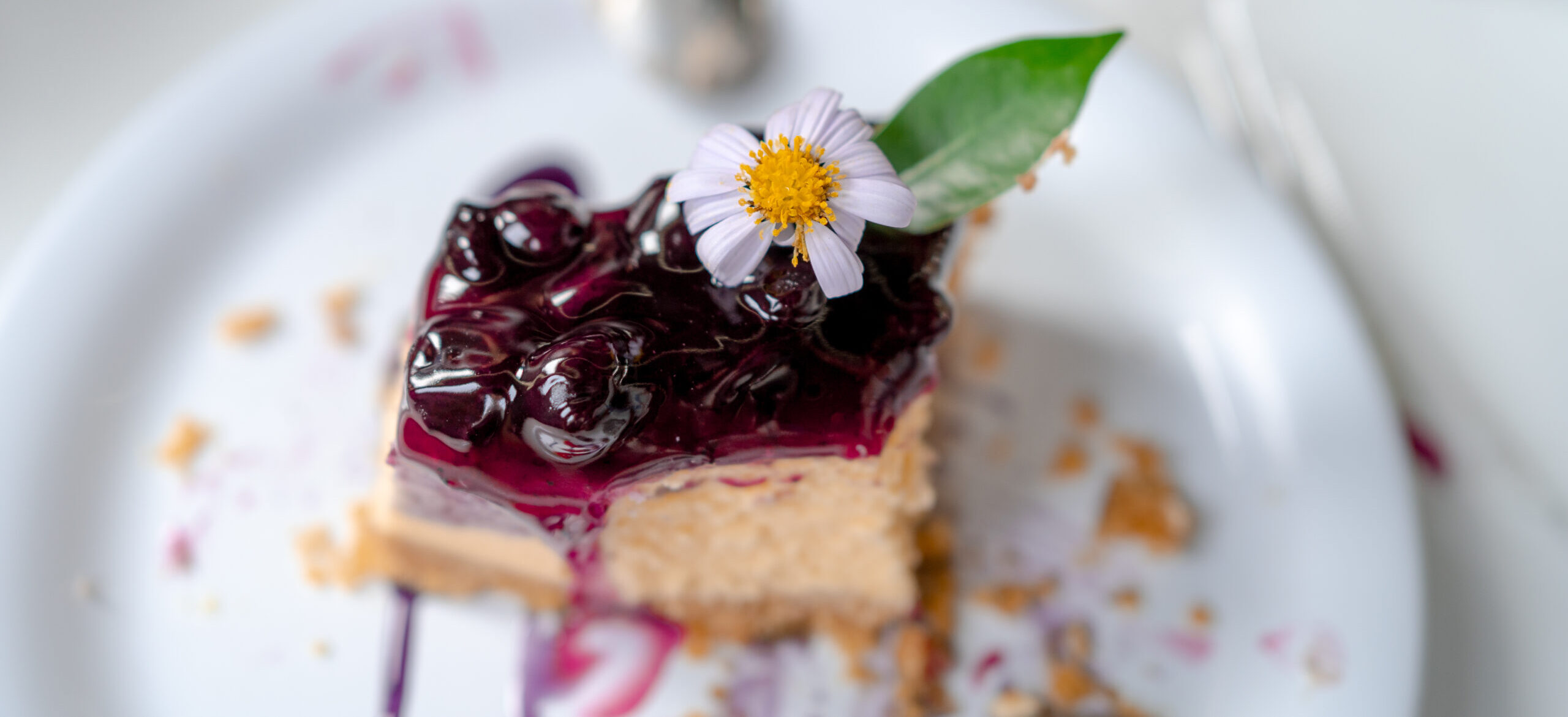 Delicious cherry fruit filling tart with a flower garnish on a white plate.