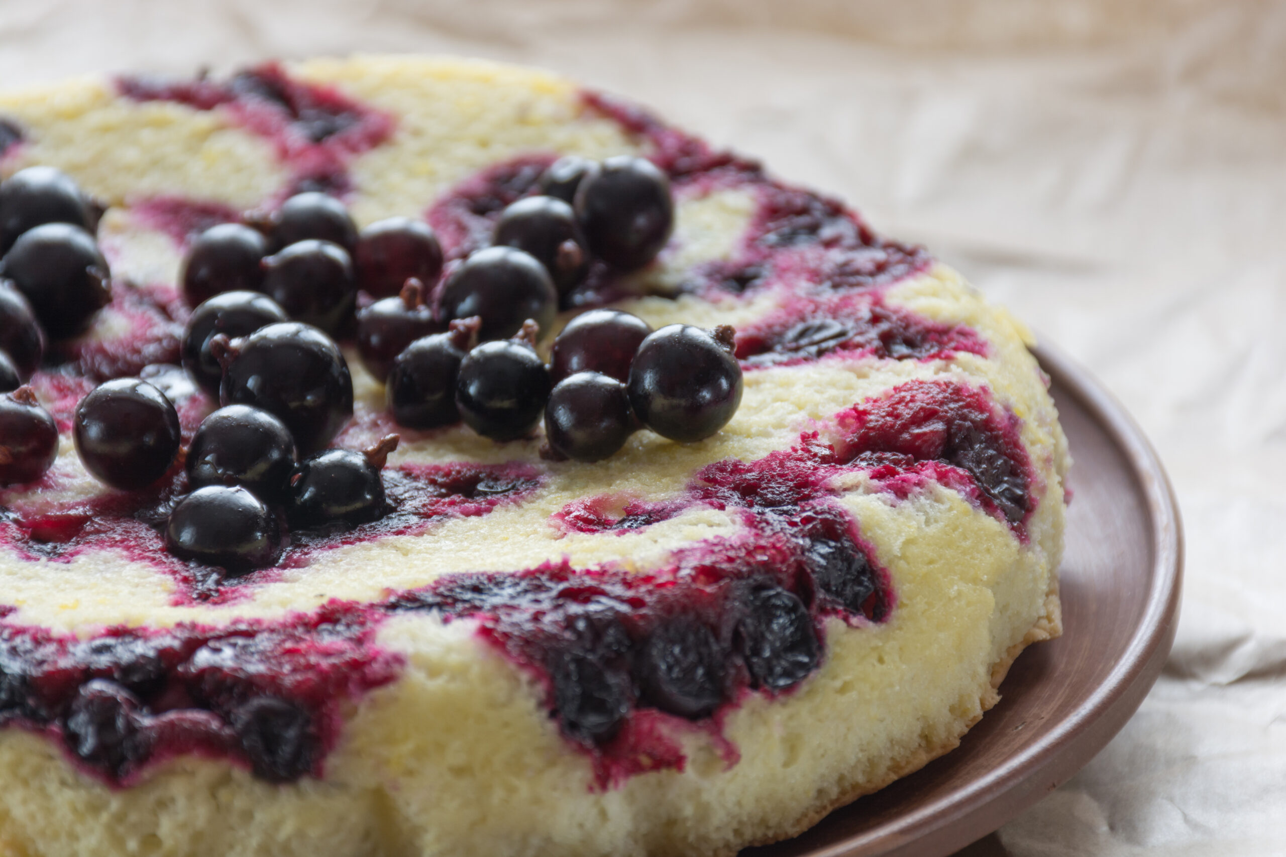 Round blackcurrant sponge cake topped with whole black currants on parchment, a finished bake using bake-stable fruit filling.