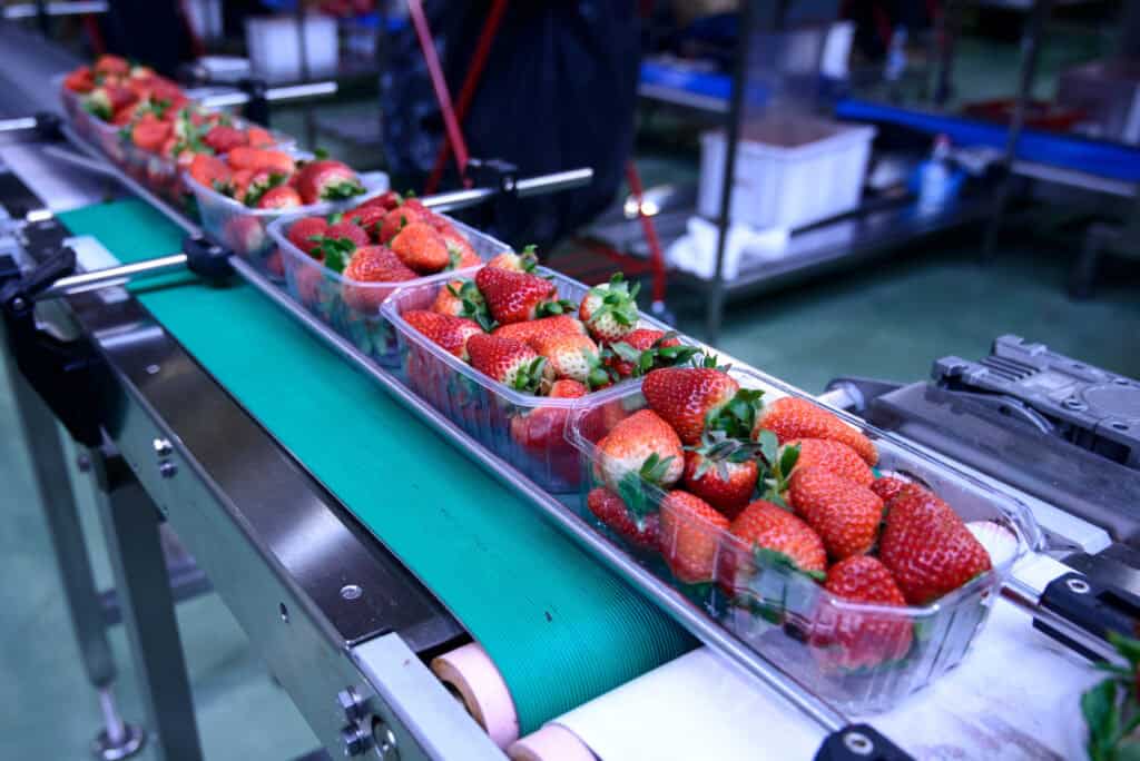 Quality, Safety, and Traceability for Reliable Food & Beverage Ingredients