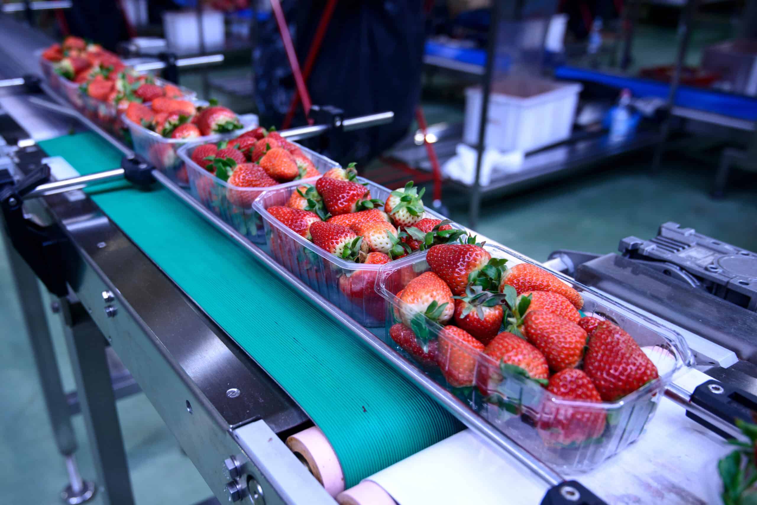Quality, Safety, and Traceability for Reliable Food & Beverage Ingredients