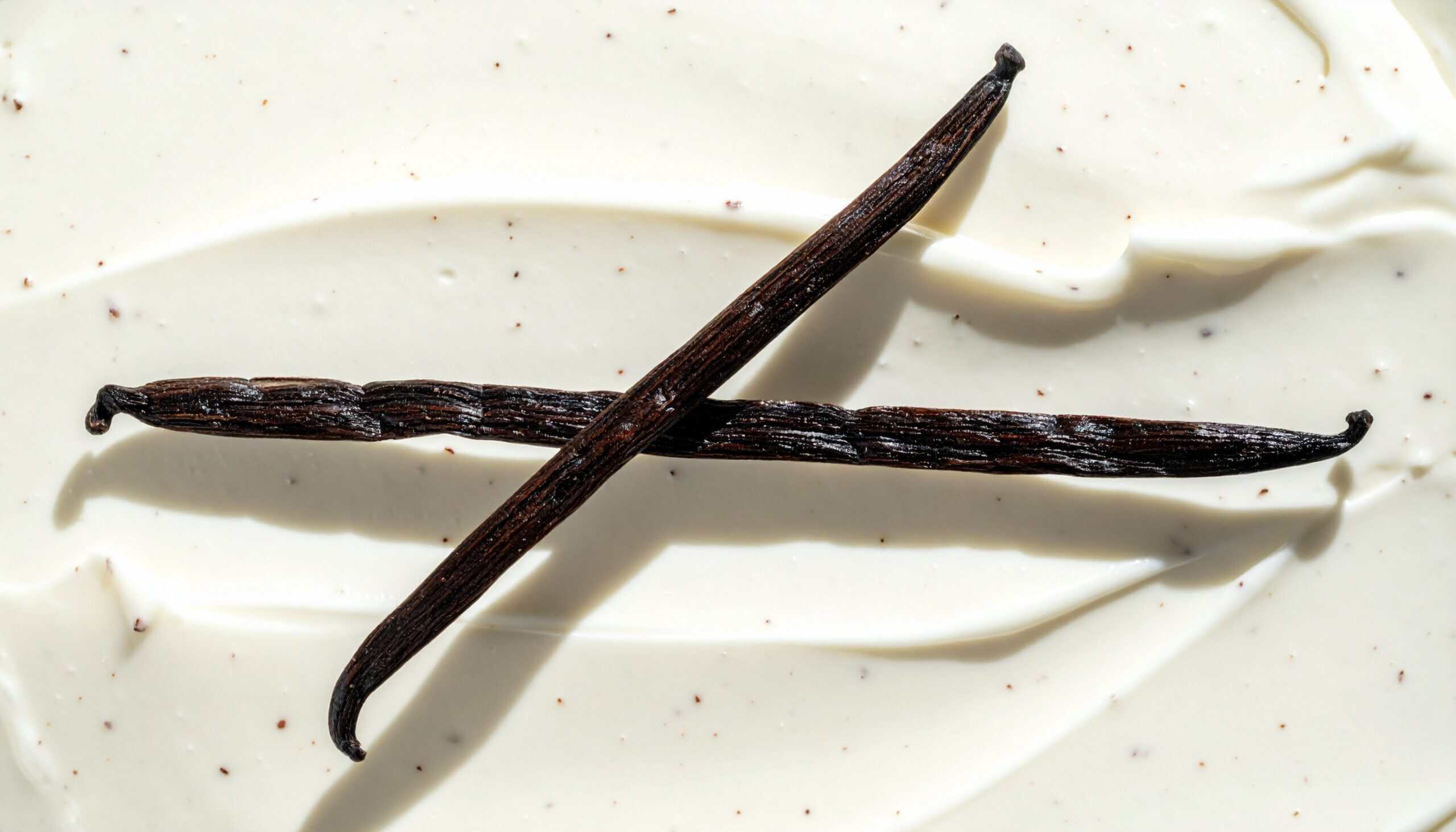 Simple clean label ingredients: two crossed vanilla beans on smooth vanilla cream flecked with seeds